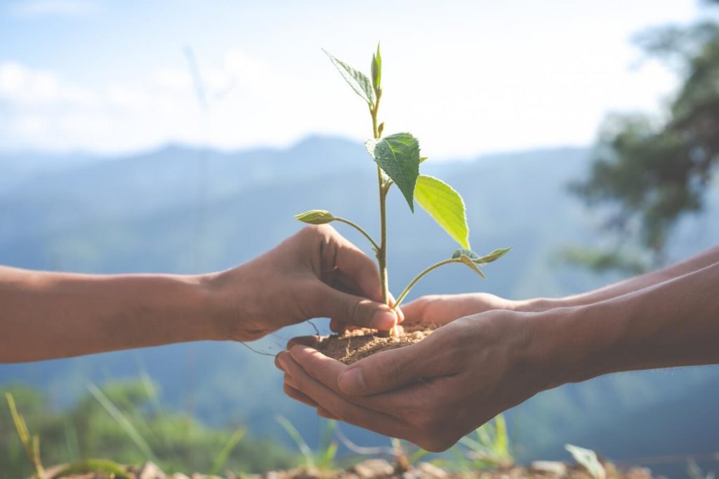 Apa itu Sustainable Living, Contoh, Tips dan Manfaatnya